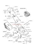 12/2006 - 05/2009
