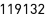 119132
